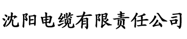 奶大B紧17p电缆厂logo